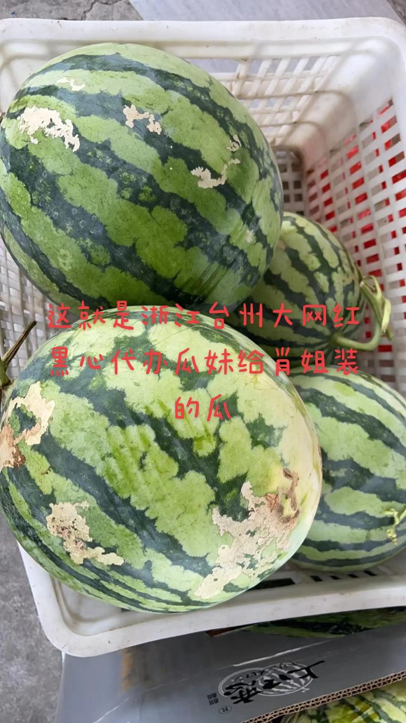51今日大瓜 热门大瓜,51cg今日吃瓜热门大瓜路线最新