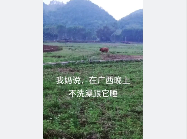 在廣西不洗澡，是不是觸犯天條啊？玉皇大帝來了都得洗！